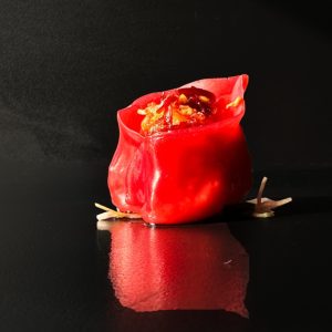 Red Rose Momo 5pcs